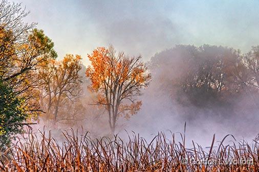 Autumn Morning Mist_29215.jpg - Photographed along the Rideau Canal Waterway at sunrise near Smiths Falls, Ontario, Canada.